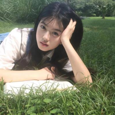 高卢英雄：首领争夺战